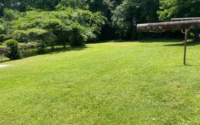 Photo of Robert G.'s yard after getting lawn care in Marietta, GA