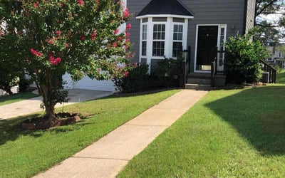 Photo of Michael D.'s yard after getting lawn care in Kyle, TX