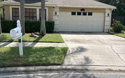 Photo of Michael P.'s yard after getting lawn care in Lutz, FL