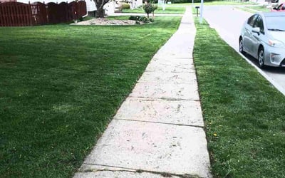 Photo of Lana E.'s yard after getting lawn care in Lincoln, NE