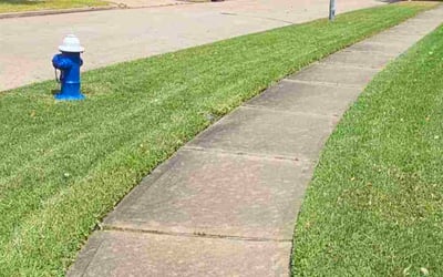 Photo of Dustin L.'s yard after getting lawn care in Norman, OK