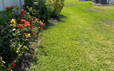 Photo of Allison B.'s yard after getting lawn care in Clearwater, FL