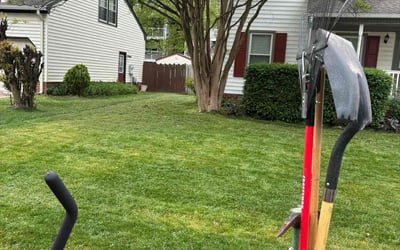 Photo of Pete C.'s yard after getting lawn care in Newport News, VA