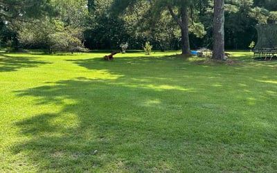 Photo of Sonja o.'s yard after getting lawn care in Lenoir, NC
