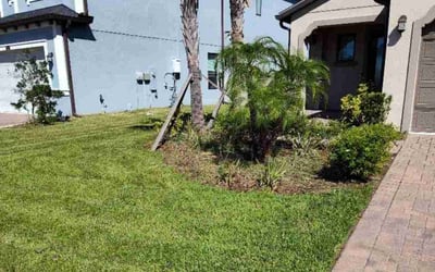 Photo of Brooke B.'s yard after getting lawn care in Wesley Chapel, FL