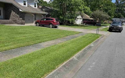 Photo of Jen D.'s yard after getting lawn care in Madison, MS