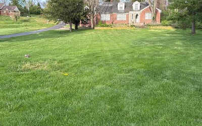 Photo of Courtney E.'s yard after getting lawn care in Dayton, OH