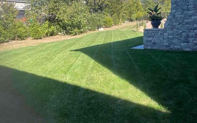 Photo of Mark M.'s yard after getting lawn care in Nolensville, TN