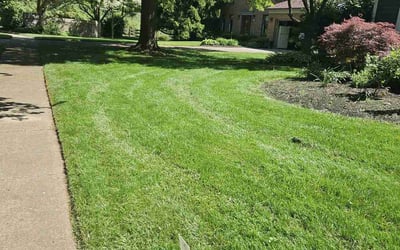 Photo of Shasta B.'s yard after getting lawn care in Steubenville, OH