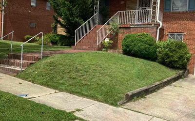Photo of Michael V.'s yard after getting lawn care in Hemet, CA