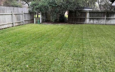 Photo of Kirsten R.'s yard after getting lawn care in Atascosa, TX