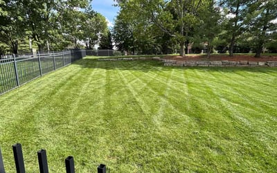 Photo of Anthony E.'s yard after getting lawn care in Lacygne, KS