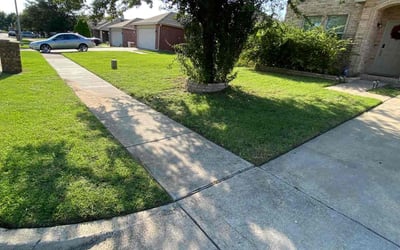 Photo of Salina E.'s yard after getting lawn care in Burlington, VT