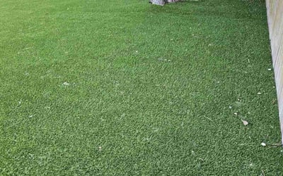 Photo of Jessica S.'s yard after getting lawn care in Bridgewater, NJ