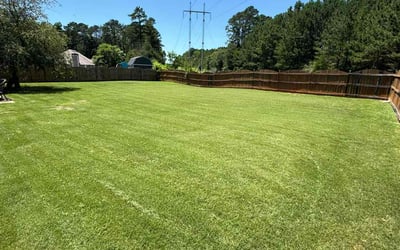 Photo of Erica B.'s yard after getting lawn care in Lubbock, TX
