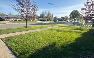 Photo of Vijay V.'s yard after getting lawn care in Baton Rouge, LA