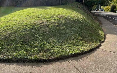 Photo of Chriss H.'s yard after getting lawn care in Gresham, OR