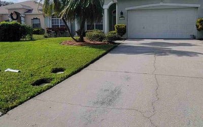 Photo of Martha C.'s yard after getting lawn care in Clearwater, FL