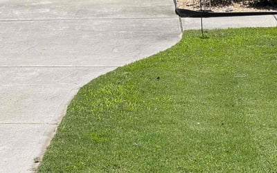 Photo of Brandon N.'s yard after getting lawn care in Clayton, NC