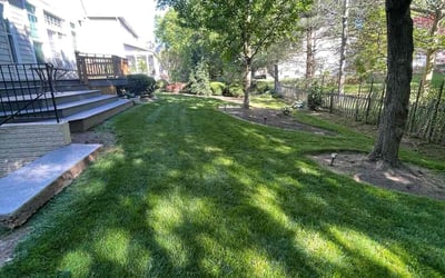 Photo of Valorie E.'s yard after getting lawn care in Oakton, VA