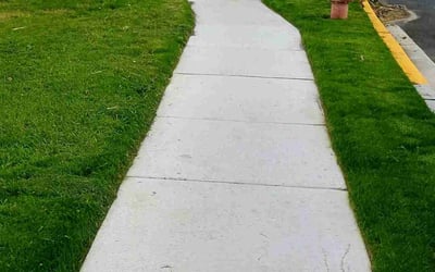 Photo of Karen R.'s yard after getting lawn care in Pennsville, NJ