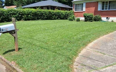 Photo of Valerie S.'s yard after getting lawn care in Grove City, OH
