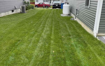 Photo of James R.'s yard after getting lawn care in Humble, TX