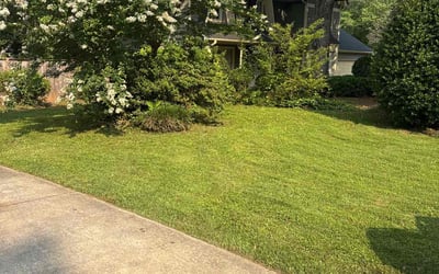 Photo of Donna A.'s yard after getting lawn care in Gulfport, MS