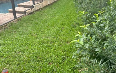 Photo of Rosemari R.'s yard after getting lawn care in Lake Mary, FL