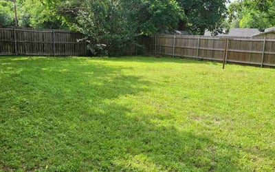 Photo of Pam F.'s yard after getting lawn care in Winder, GA