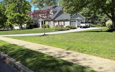 Photo of Corey D.'s yard after getting lawn care in Boerne, TX