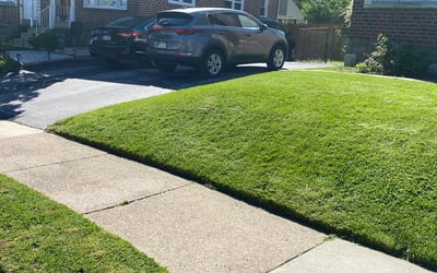 Photo of Rose J.'s yard after getting lawn care in Drexel Hill, PA