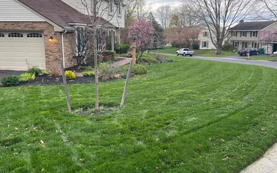 Photo of Mathew G.'s yard after getting lawn care in Hershey, PA