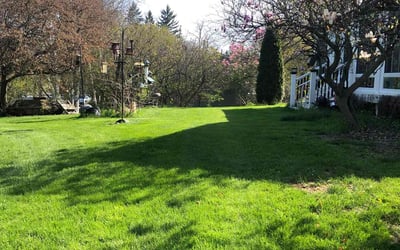 Photo of Tony M.'s yard after getting lawn care in Franklin, WI