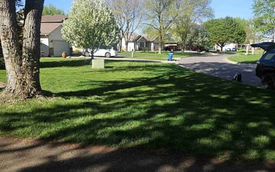 Photo of Aaron B.'s yard after getting lawn care in Kennesaw, GA