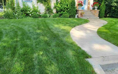 Photo of Matthew K.'s yard after getting lawn care in Zimmerman, MN