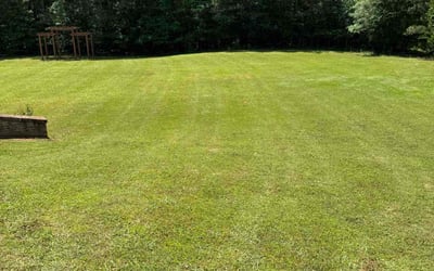 Photo of Andrew G.'s yard after getting lawn care in Newburgh, NY