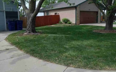 Photo of Jason C.'s yard after getting lawn care in Wichita, KS