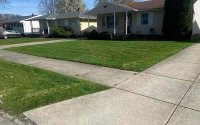 Photo of Amy M.'s yard after getting lawn care in Maple Heights, OH