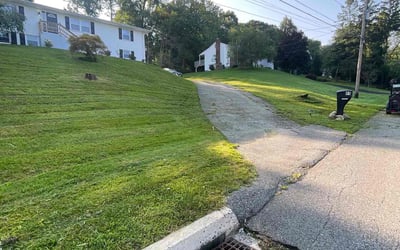 Photo of James A.'s yard after getting lawn care in Wappingers Falls, NY