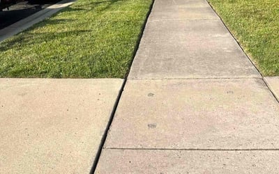 Photo of Cynthia J.'s yard after getting lawn care in Wyandotte, MI