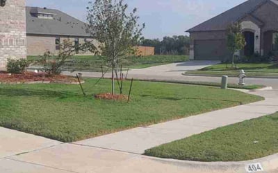 Photo of Brianna L.'s yard after getting lawn care in Waxahachie, TX