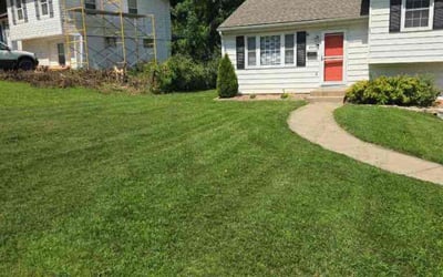 Photo of Trent T.'s yard after getting lawn care in Higginsville, MO