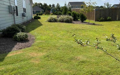 Photo of Laura F.'s yard after getting lawn care in Willow Spring, NC