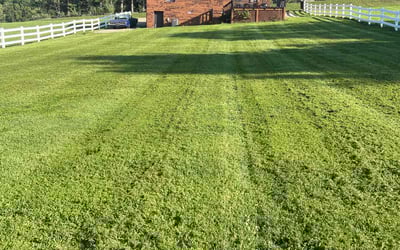 Photo of Craig P.'s yard after getting lawn care in Blountville, TN