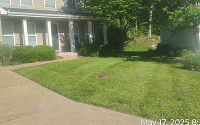 Photo of Kathleen F.'s yard after getting lawn care in Arden, NC