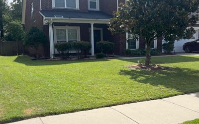 Photo of Janet H.'s yard after getting lawn care in Columbia, IL