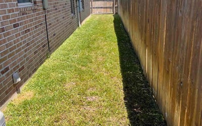 Photo of Elizabeth R.'s yard after getting lawn care in Struthers, OH