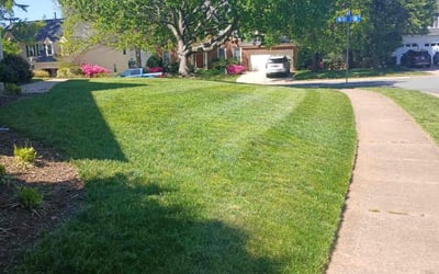 Photo of Philip C.'s yard after getting lawn care in Sterling, VA