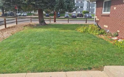 Photo of Tad M.'s yard after getting lawn care in Arvada, CO